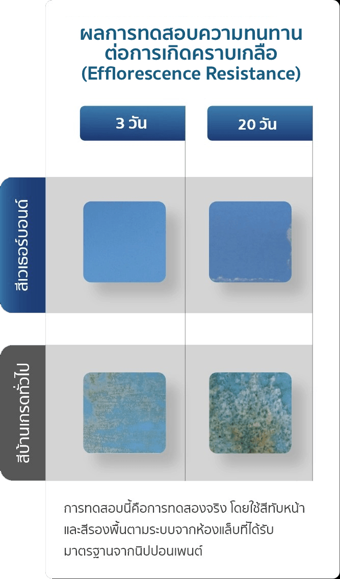 Nipponpaint Weatherbond